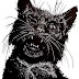 "ESSE GATO PRETO NÃO TÁ COM NADA! NÃO MORDE NINGUÉM! ACHO QUE NEM DENTE TEM!"
