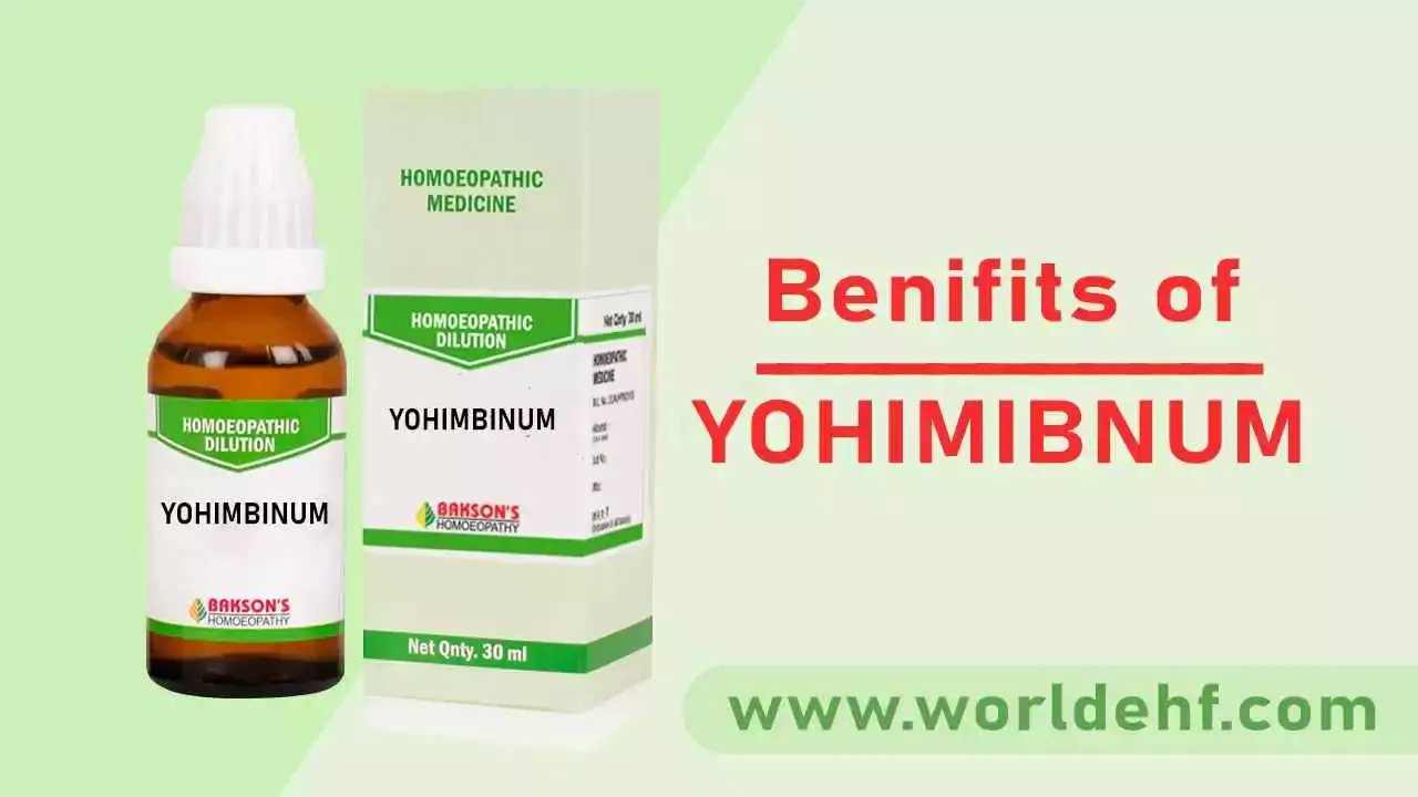 Yohimbinum homeopathy Medicine Uses in Hindi