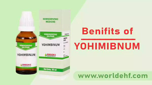योहिम्बीनम होम्योपैथिक औषधि | Yohimbinum Homeopathic Medicine Uses in Hindi