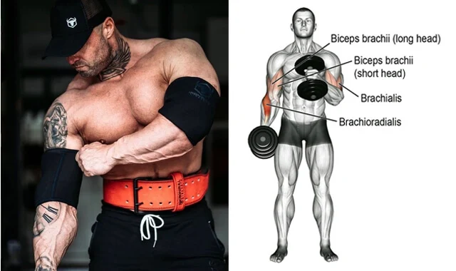 Top 5 Best Exercises to Build Forearms