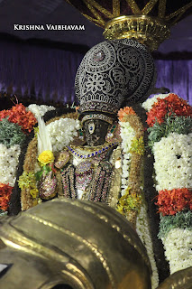 Yaanai Vahanam,YEasel, Day 06,Brahmotsavam, Thiruvallikeni, Sri PArthasarathy Perumal, Temple, 2017, Video, Divya Prabhandam,Utsavam,