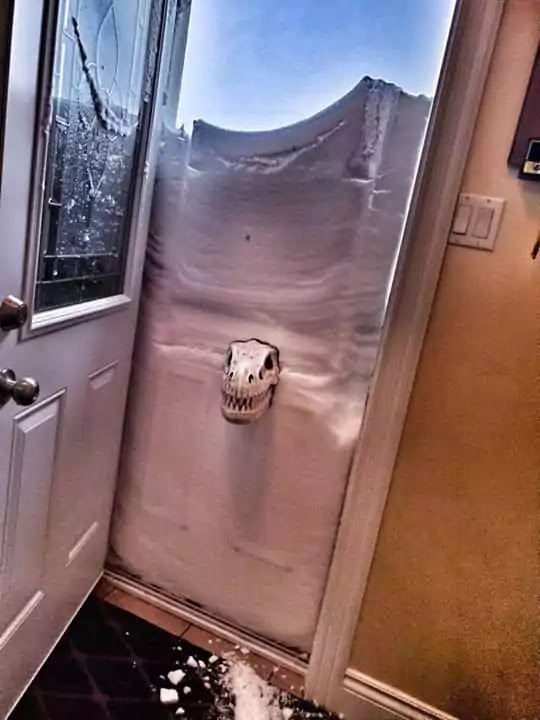 28 Epic Pictures Prove That A Blizzard Can't Scare Canadians