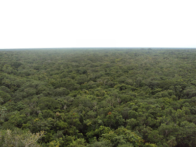 Vistas desde arriba de la pirámide de Cobá