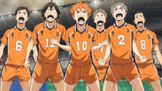 ハイキュー 烏野高校メンバー一覧 画像 Karasuno High