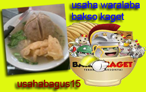 Peluang Usaha Waralaba Bakso Kaget