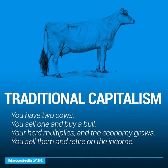 Two Cows Explain The World Economy Better Than Any Professor