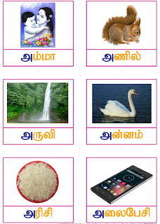 Tamil Vowel Letters Flash Cards - A4 Size
