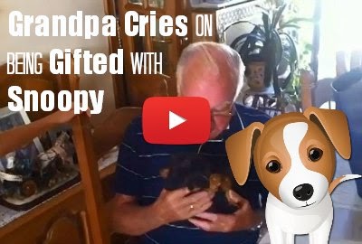 Watch Grandpa cry who just lost his wife and had to spent his remaining life all alone fall to teary eyes on being gifted with a cute Puppy Snoopy via geniushowto.blogspot.com videos