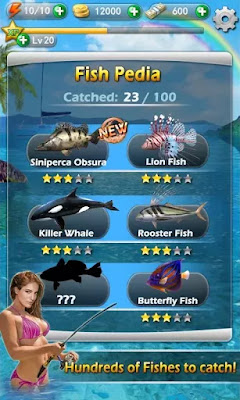 Fishing Mania 3D APK Game Memancing Ukuran Kecil