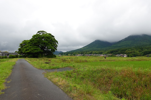 鳥取県西伯郡大山町宮内