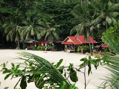  proficient value Jungle Club inward the hills behind Chaweng Noi bestthailandbeaches: WHICH ISLAND (or Beach)