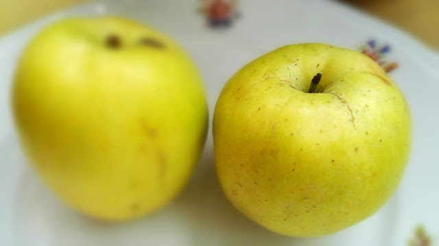 mele autoctone della Basilicata, mela Limoncella, mela Ghiaccio, mela Maggiatica, ricetta torta con mele lucane senza olio né burro