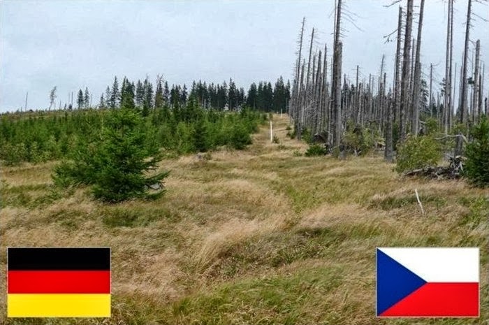 Germany and Czech Republic Country Border