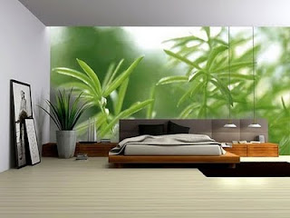 Wallpaper bedroom wall