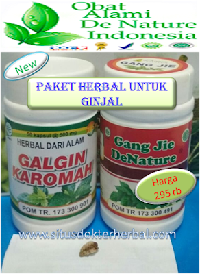 obat herbal kencing batu ginjal, obat tradisional kencing batu ginjal, obat kencing batu dan batu ginjal, obat batu ginjal saluran kemih, obat batu ginjal dan saluran kemih