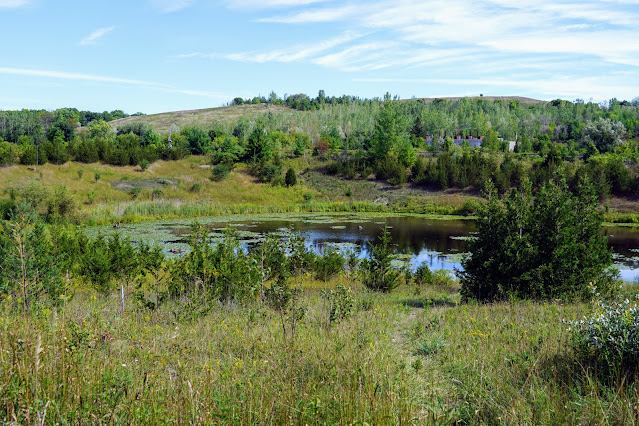 Pond at the beginning of the Orchard Trail, Rouge Park.