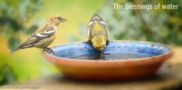 The blessings of water