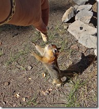 Lake bike ride and chipmunks 096