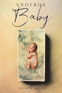 Shoebox Baby by Sharon Bruce