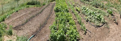 DSCF1331 (Small)