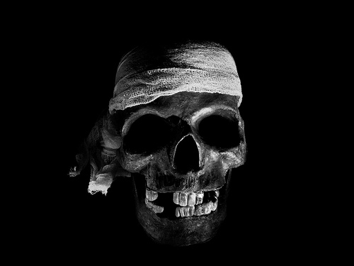 Free Skull Wallpapers Halloween Skull Pictures