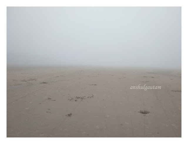 Foggy Day Experience at Sana Beach and Resort Mandarmani - 3