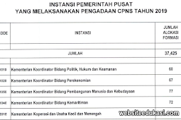 Rincian Formasi CPNS 2019 Instansi Pusat dan Daerah