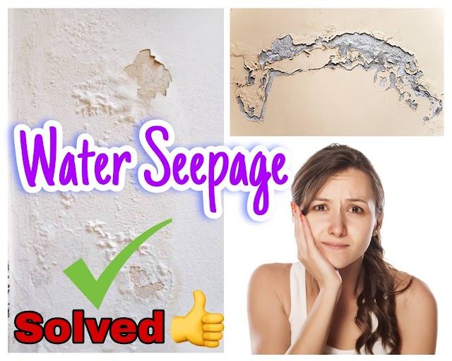 Water Seepage: How Can It Weaken Your House Structure?