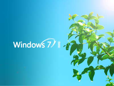 Windows Wallpaper