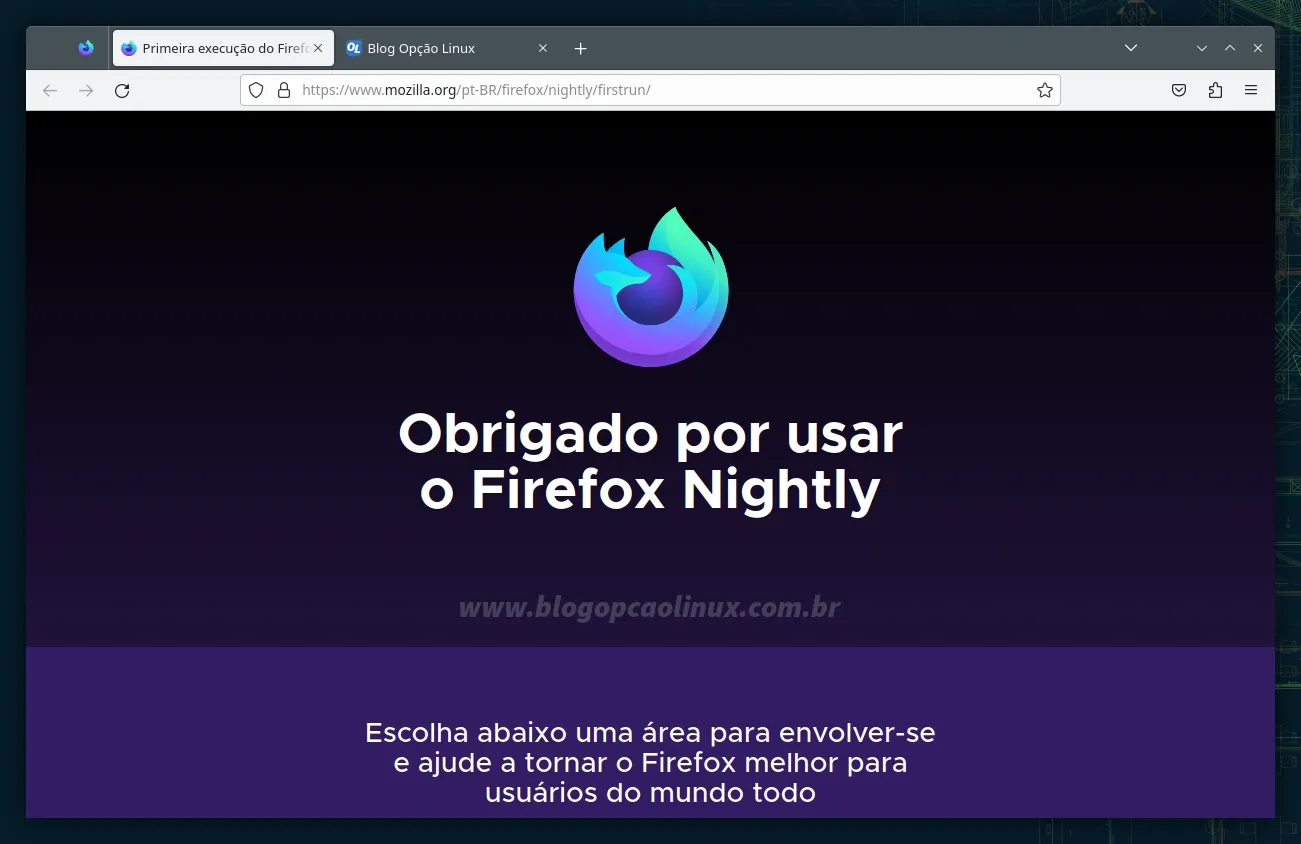 Mozilla Firefox Nightly executando no openSUSE Tumbleweed