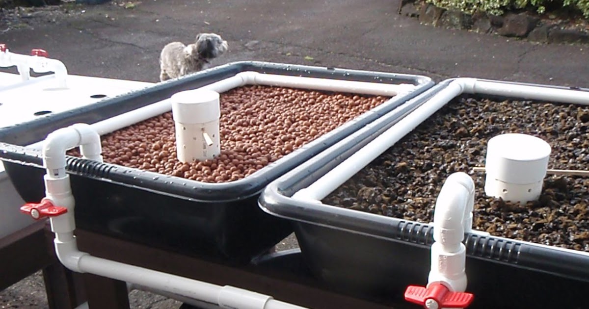 Joan Goes Green: Aquaponics setup - 75% done!