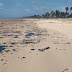 SOBE PARA 132 NÚMERO DE PRAIAS ATINGIDAS POR MANCHAS DE ÓLEO,APONTA IBAMA