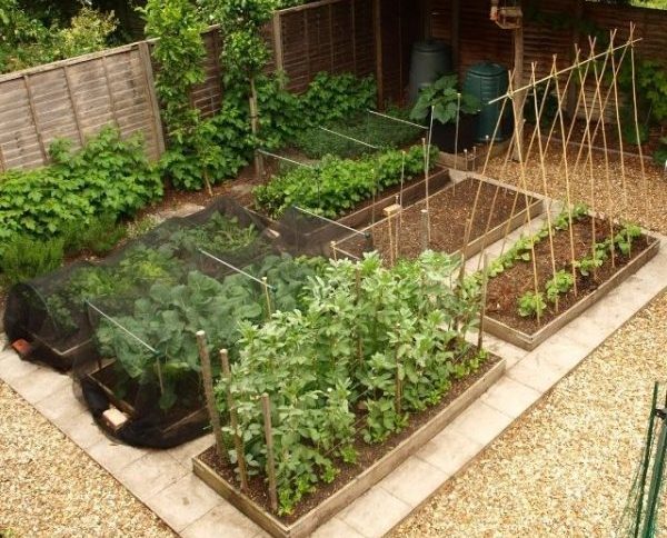 How to Make a Raised Bed Garden