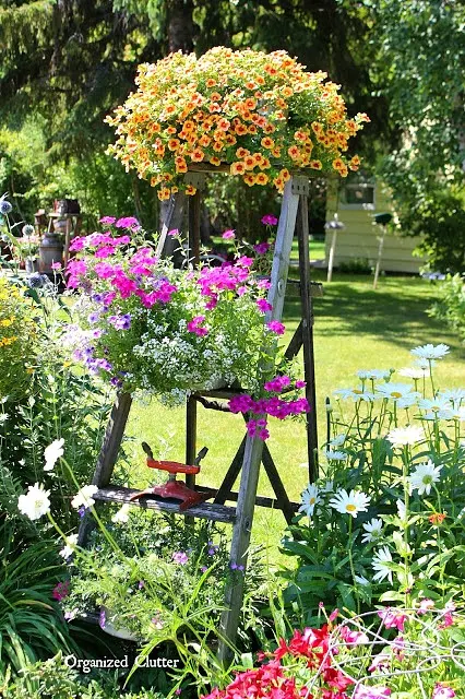 Add A Ladder To Your Flower Garden #junkgarden #gardenjunk #gardenladder #containergarden #rusticgarden