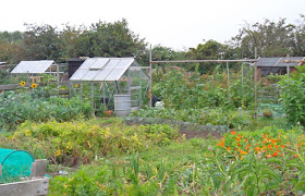 Allotments off Grammar School Road, Brigg - see Nigel Fisher's Brigg Blog