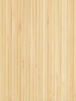 Bamboo Wood2