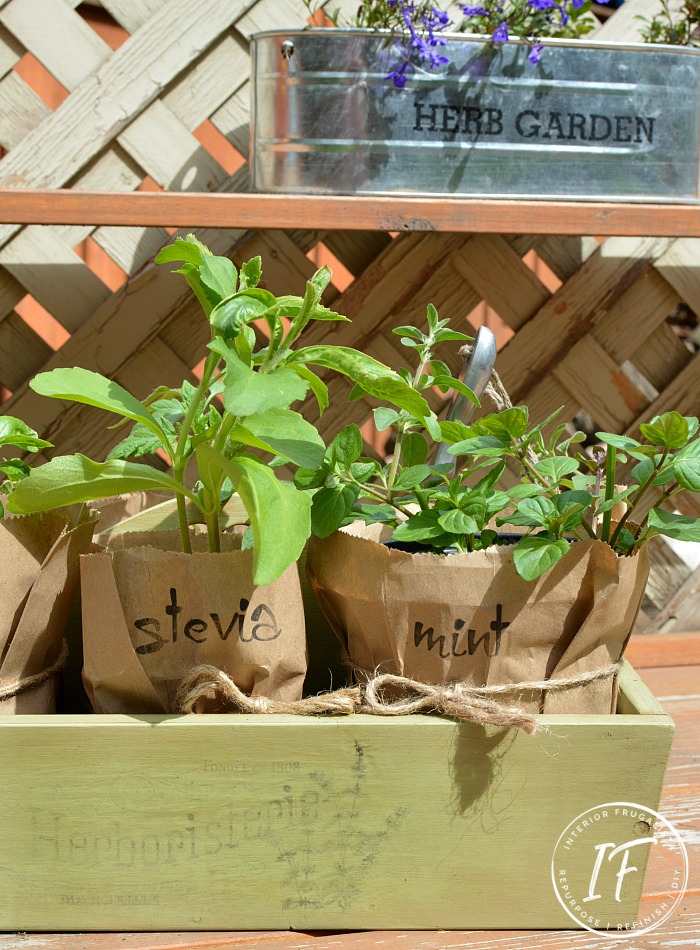 How to turn a wooden tool caddy from the thrift store into a lovely French Country-style Wooden Herb Garden, perfect for window ledge gardening, tabletop herb garden, or apartment balcony herb garden.