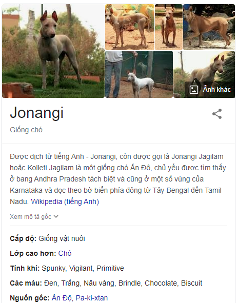 Jonangi