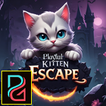 Palani Games Playful Kitten Escape Game