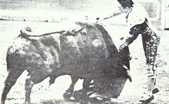 Paco Camino Estocada (Los heterodoxos) 001