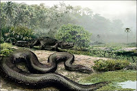 Illustration d'un Titanoboa cerrejones. Document NGS/Nature.