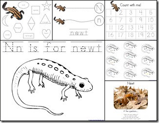 Nn Newt Extras