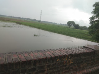 खेतों तक पहुंचा गोमती का पानी, किसान चिंतित | #NayaSaveraNetwork