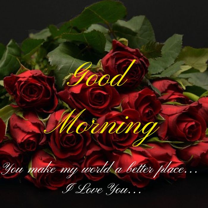 Happy Good Morning Red Rose