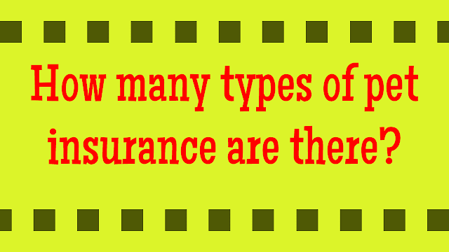 How many types of pet insurance are there?