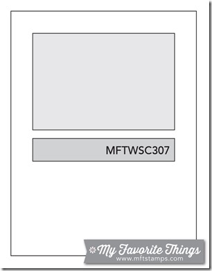 MFT_WSC_307