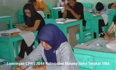 CPNS 2014