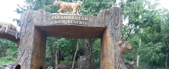 Parambikulam Wildlife Sanctuary or Top Slip Parambikulam Tiger Reserve – Pollachi – Coimbatore 