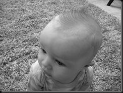 Andrew4