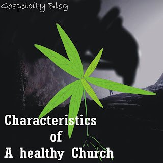 10 Proven Characteristics of a heathy Church (Gospelcity Blog)